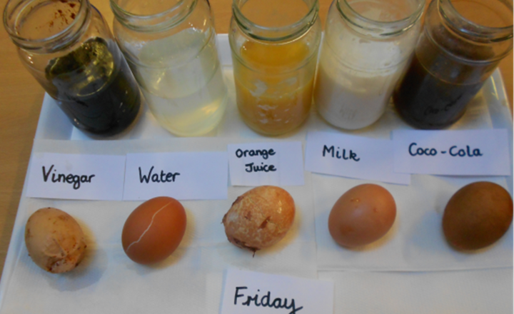 Image of Year 3 & 4's Egg Experiment 
